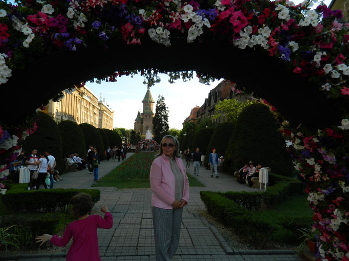 DSCN6377 - 2016 FESTIVALUL FLORILOR_TIMISOARA