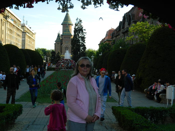 DSCN6378 - 2016 FESTIVALUL FLORILOR_TIMISOARA
