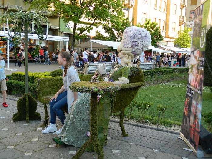 DSCN6385 - 2016 FESTIVALUL FLORILOR_TIMISOARA