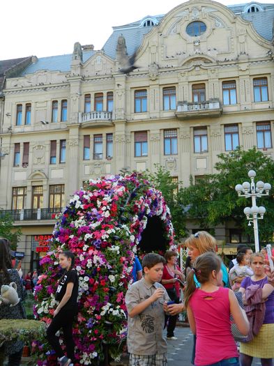 DSCN6388 - 2016 FESTIVALUL FLORILOR_TIMISOARA