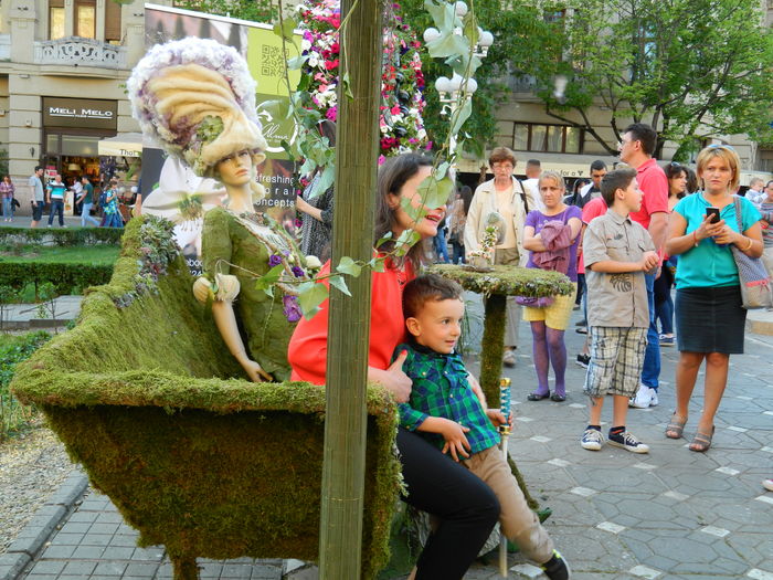 DSCN6391 - 2016 FESTIVALUL FLORILOR_TIMISOARA