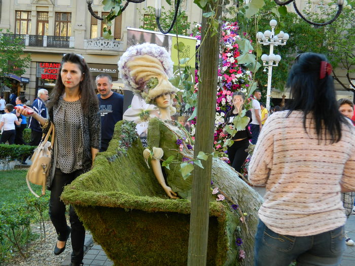 DSCN6392 - 2016 FESTIVALUL FLORILOR_TIMISOARA