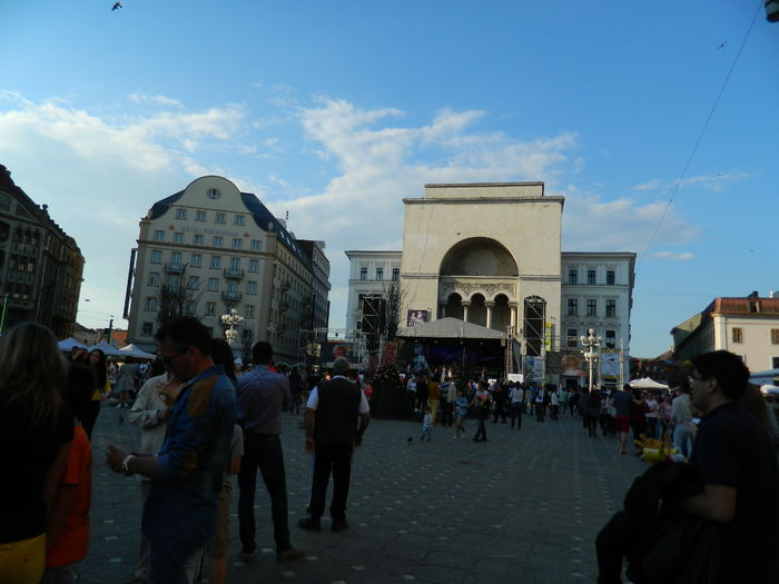 DSCN6395 - 2016 FESTIVALUL FLORILOR_TIMISOARA