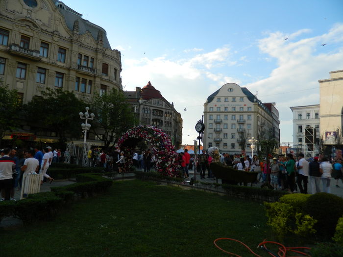 DSCN6396 - 2016 FESTIVALUL FLORILOR_TIMISOARA