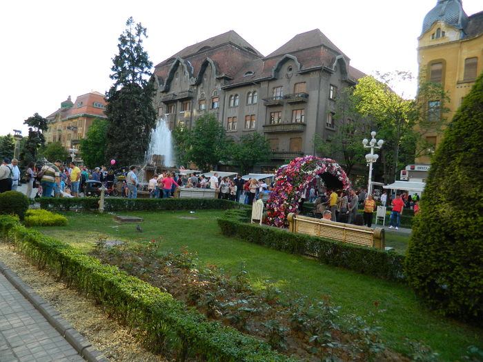 DSCN6403 - 2016 FESTIVALUL FLORILOR_TIMISOARA