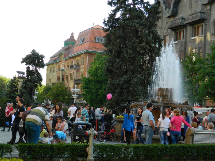 DSCN6405 - 2016 FESTIVALUL FLORILOR_TIMISOARA