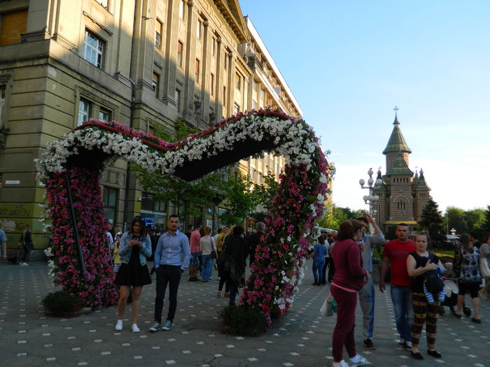 DSCN6407 - 2016 FESTIVALUL FLORILOR_TIMISOARA