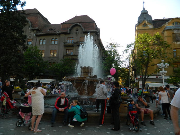 DSCN6409 - 2016 FESTIVALUL FLORILOR_TIMISOARA