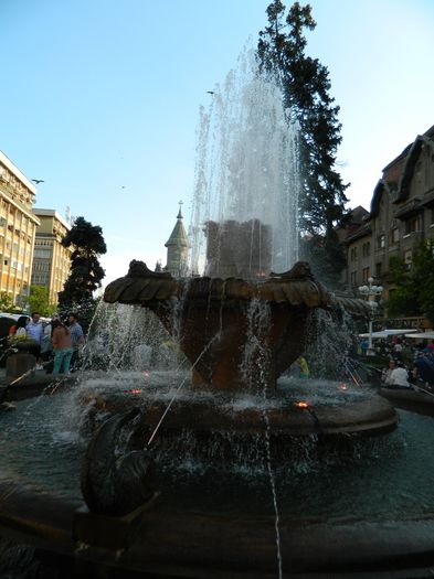 DSCN6412 - 2016 FESTIVALUL FLORILOR_TIMISOARA