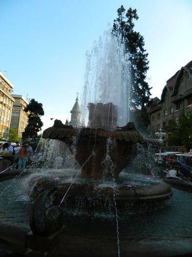 DSCN6413 - 2016 FESTIVALUL FLORILOR_TIMISOARA