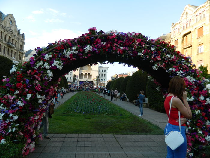 DSCN6414 - 2016 FESTIVALUL FLORILOR_TIMISOARA