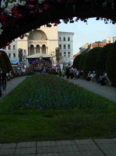 DSCN6415 - 2016 FESTIVALUL FLORILOR_TIMISOARA