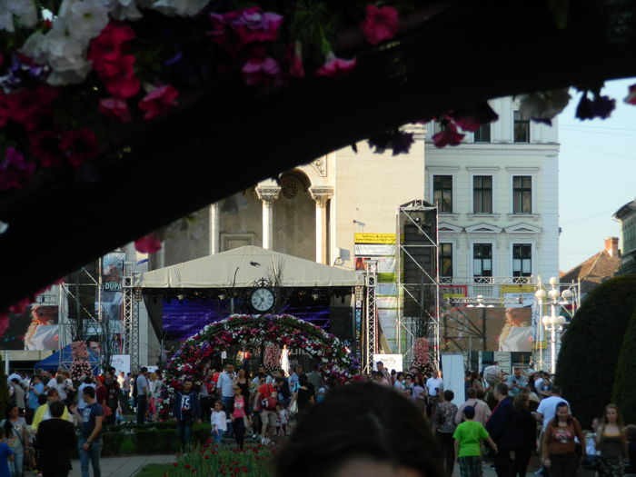 DSCN6416 - 2016 FESTIVALUL FLORILOR_TIMISOARA