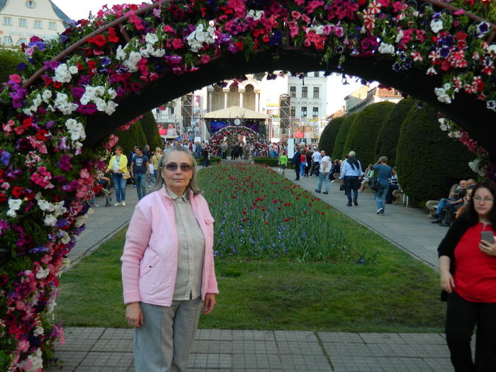 DSCN6417 - 2016 FESTIVALUL FLORILOR_TIMISOARA