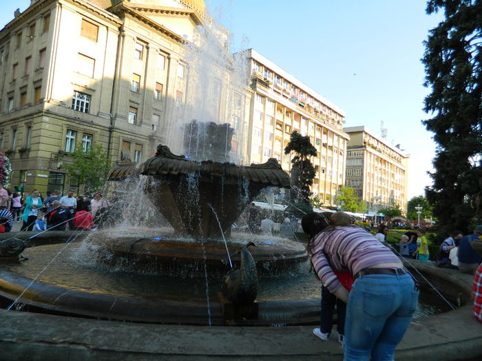 DSCN6429 - 2016 FESTIVALUL FLORILOR_TIMISOARA