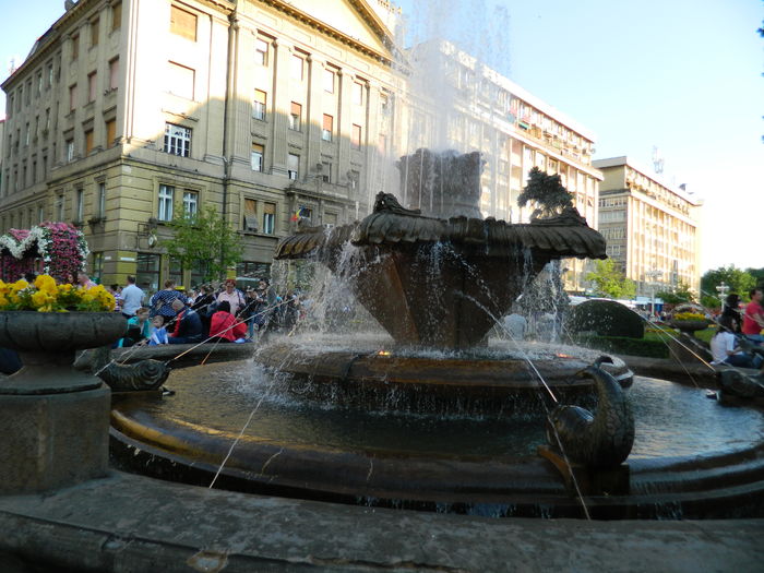 DSCN6430 - 2016 FESTIVALUL FLORILOR_TIMISOARA