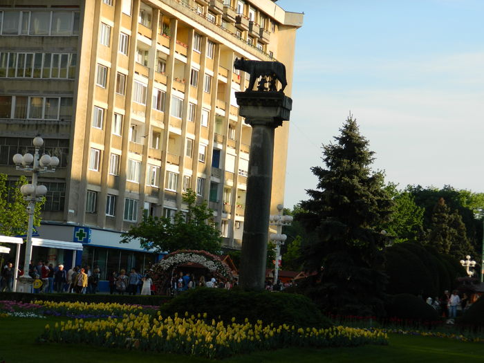 DSCN6435 - 2016 FESTIVALUL FLORILOR_TIMISOARA