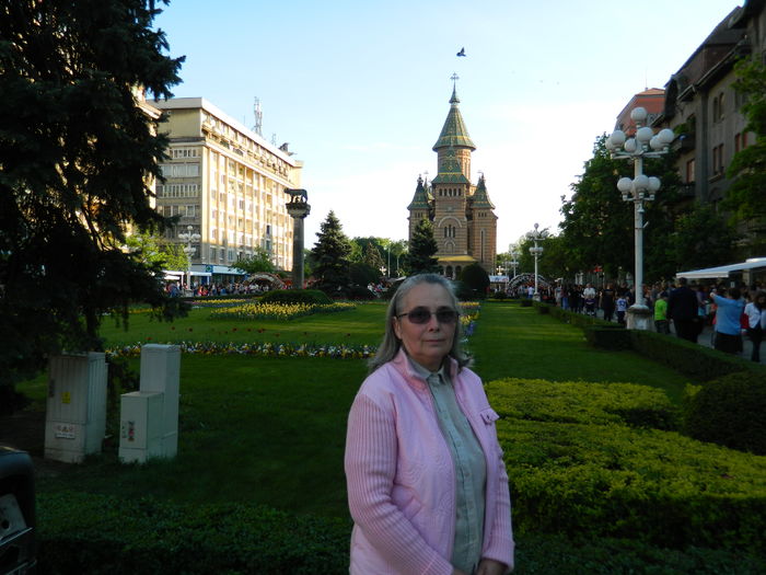 DSCN6437 - 2016 FESTIVALUL FLORILOR_TIMISOARA
