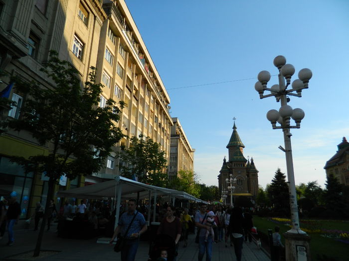 DSCN6455 - 2016 FESTIVALUL FLORILOR_TIMISOARA