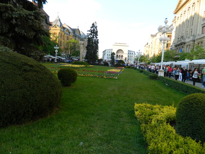 DSCN6468 - 2016 FESTIVALUL FLORILOR_TIMISOARA