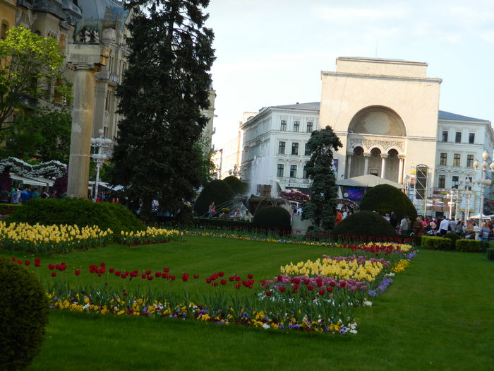 DSCN6469 - 2016 FESTIVALUL FLORILOR_TIMISOARA