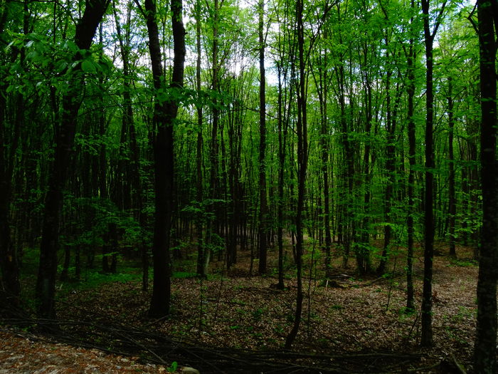 DSC06208
