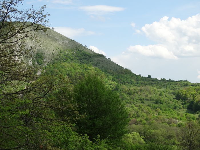 DSC06213