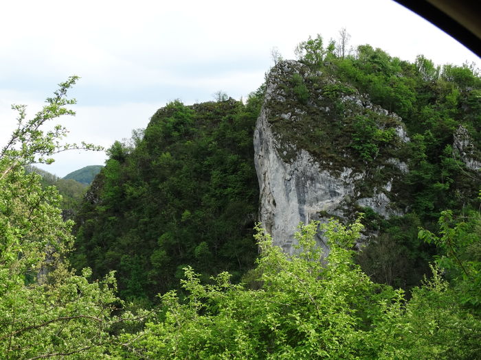 DSC06215