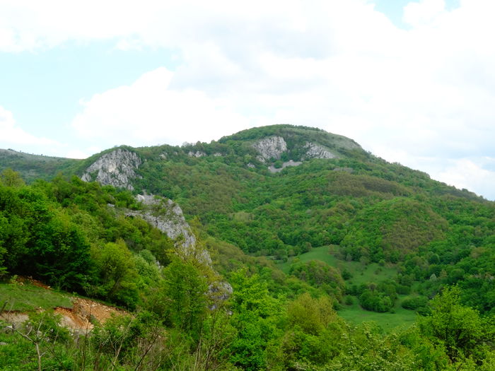 DSC06220