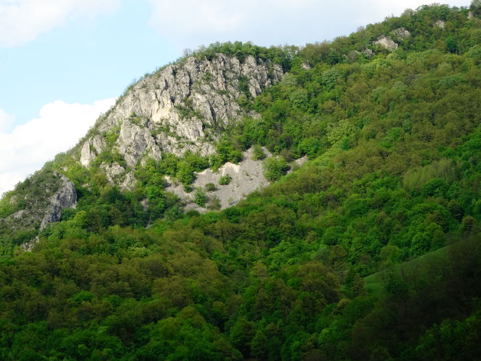DSC06229 - De prin natura 2016