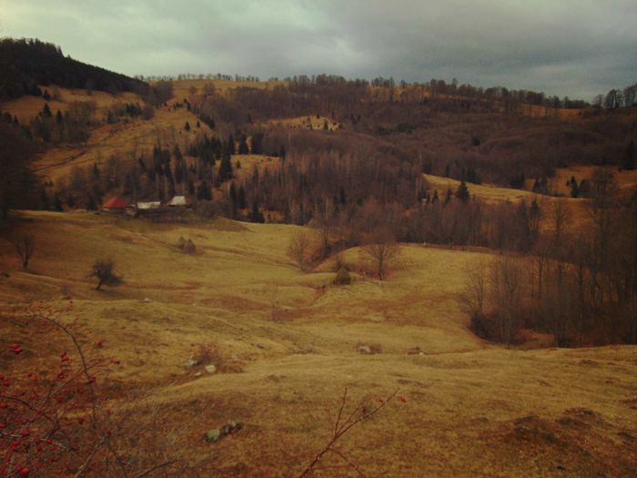 DSC04439 - Primavara 2016