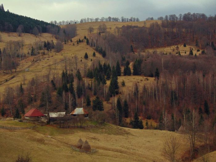 DSC04440 - Primavara 2016
