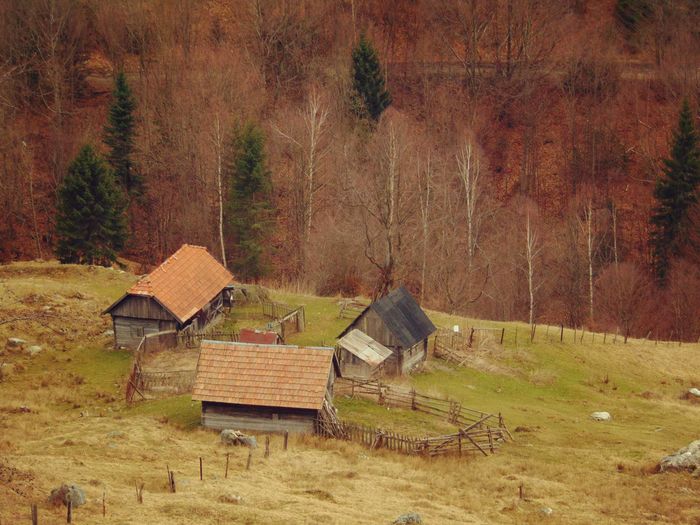 DSC04454 - Primavara 2016