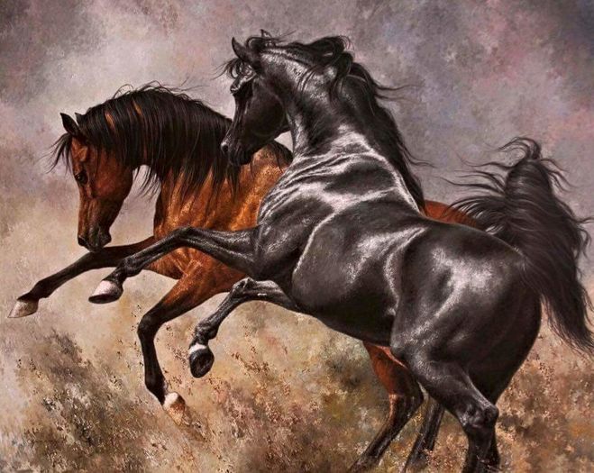 FB_IMG_1461694932211 - C Pentru cei care le plac aceste animale