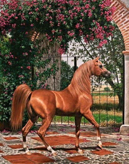 FB_IMG_1461694970762