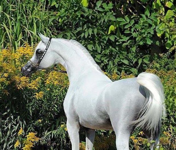 FB_IMG_1461694913593