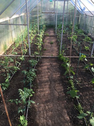 22 APRILIE 2016 - 0019 SERA construita in 2012