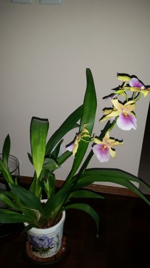 20160427_192843