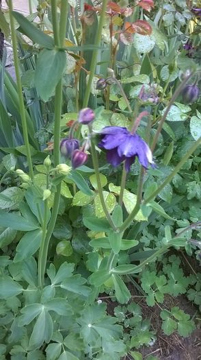 WP_20160424_009