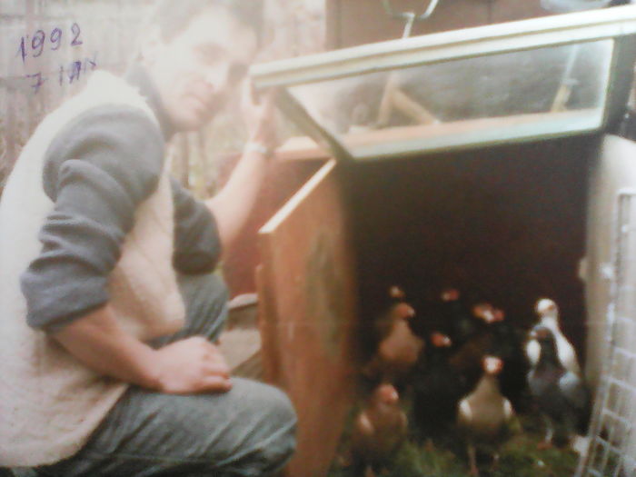 1992  lotul pentru Viena foto  Pyty - aranjare poze