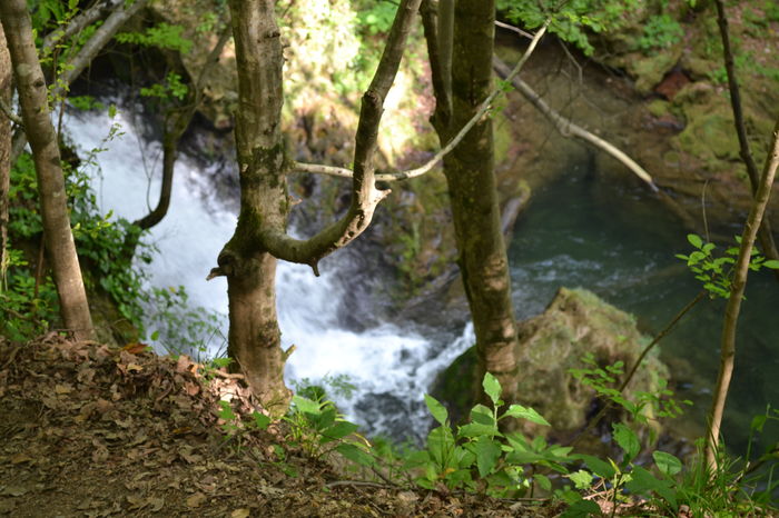 DSC_0132 - Cheile Nerei spre Cascada Beusnita