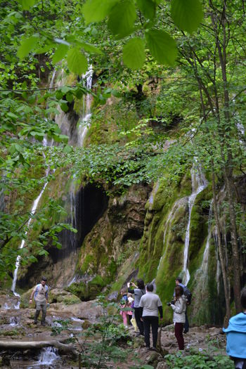 DSC_0173 - Cheile Nerei spre Cascada Beusnita