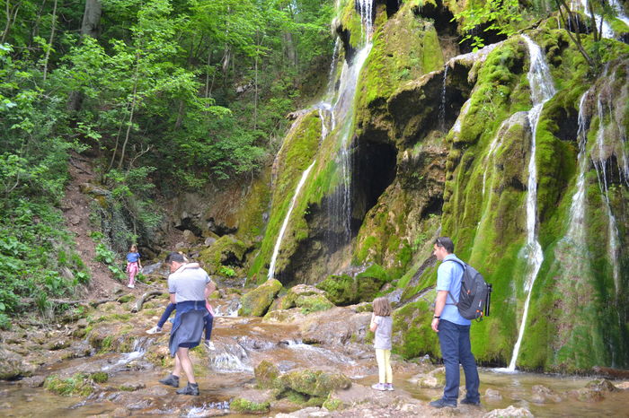 DSC_0186 - Cheile Nerei spre Cascada Beusnita