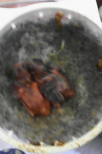  - Canari la cuib -2016