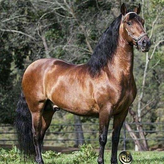 FB_IMG_1461849556133