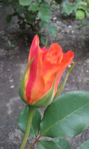 022
