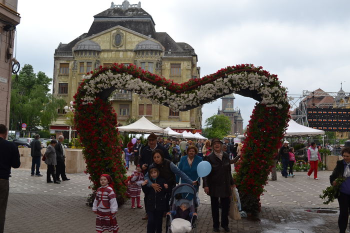 DSC_0218 - Festivalul Florilor Timisoara 2016