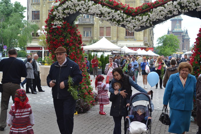 DSC_0219 - Festivalul Florilor Timisoara 2016