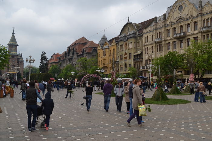 DSC_0227 - Festivalul Florilor Timisoara 2016