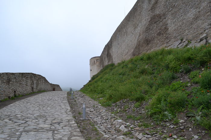 DSC_0276 - Cetatea Devei 2016